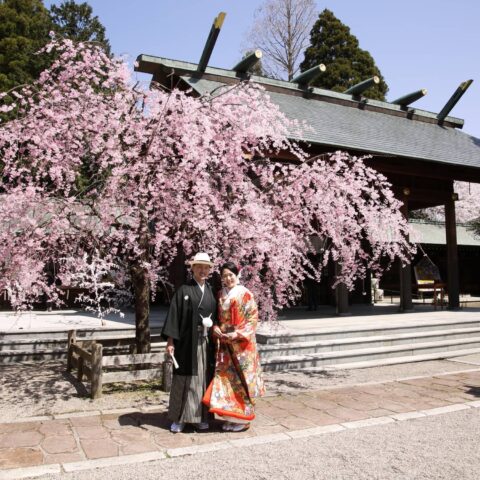 人気の春婚フェア