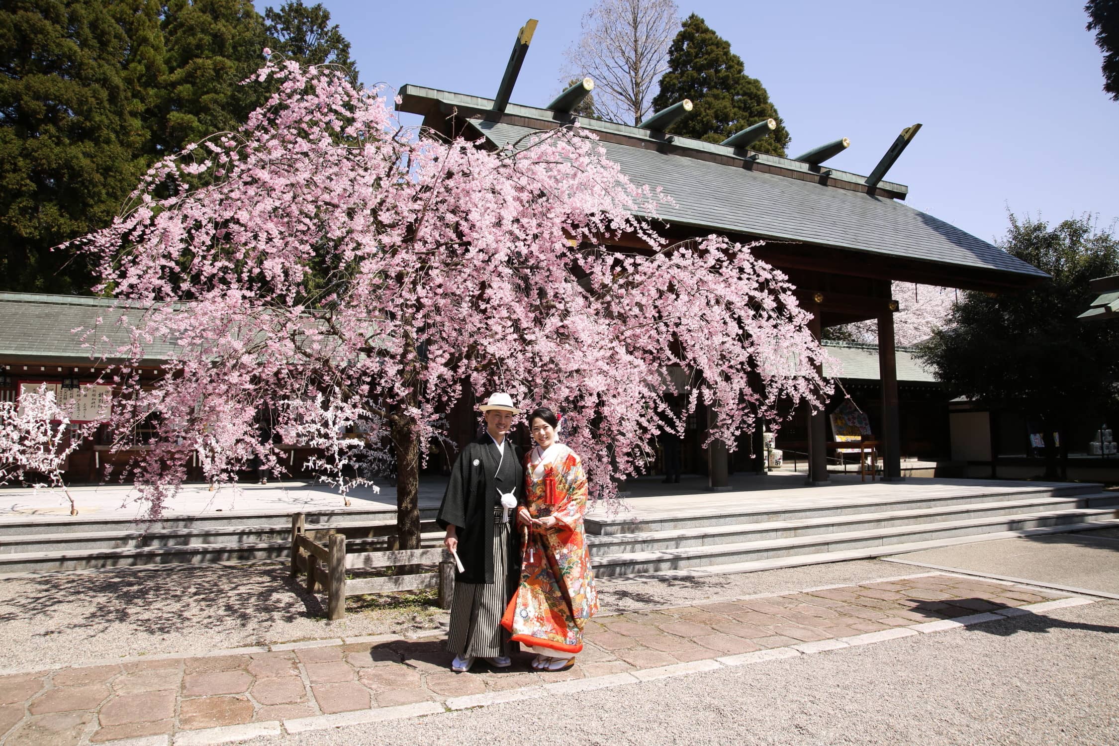 人気の春婚フェア