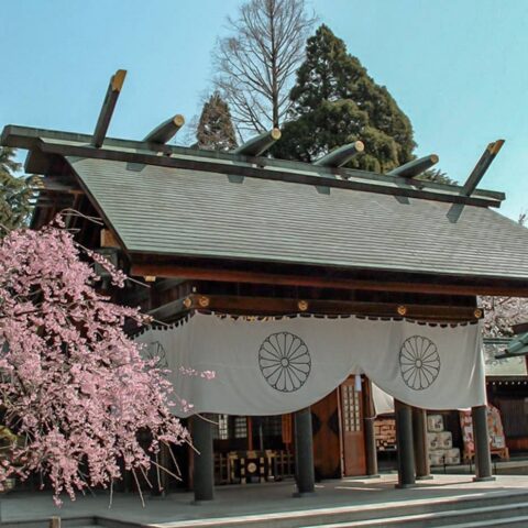 高岡の中心地古城公園内に鎮座する神社