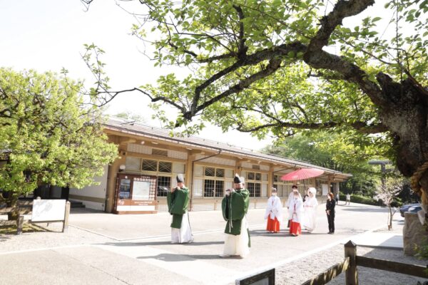 生演奏の雅楽は神社ならではの魅力