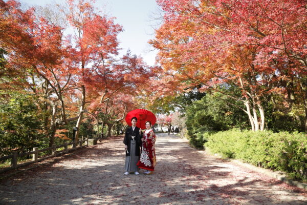 【2026年】ゆったり準備！大人気✾秋婚フェア